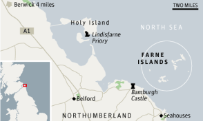 Puffins-Farne-Islands-008