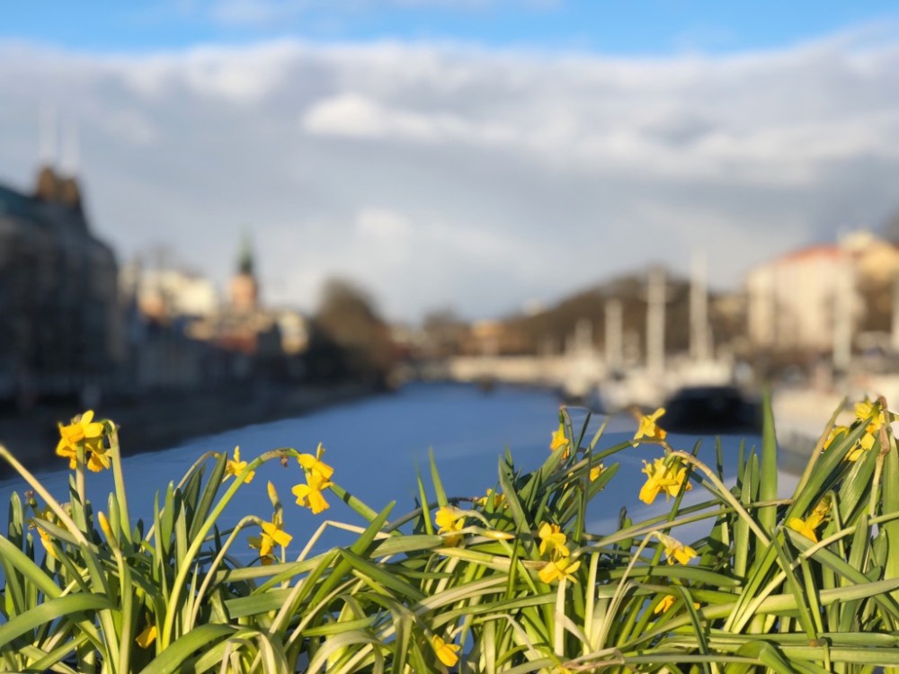 thumb_IMG_4461_1024 2