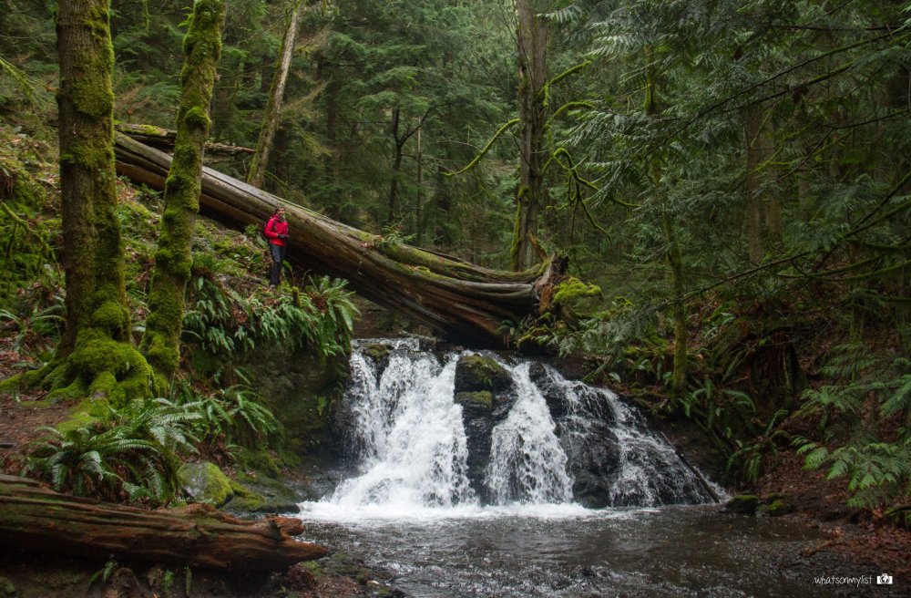 whatsonmylist_WA orcas island